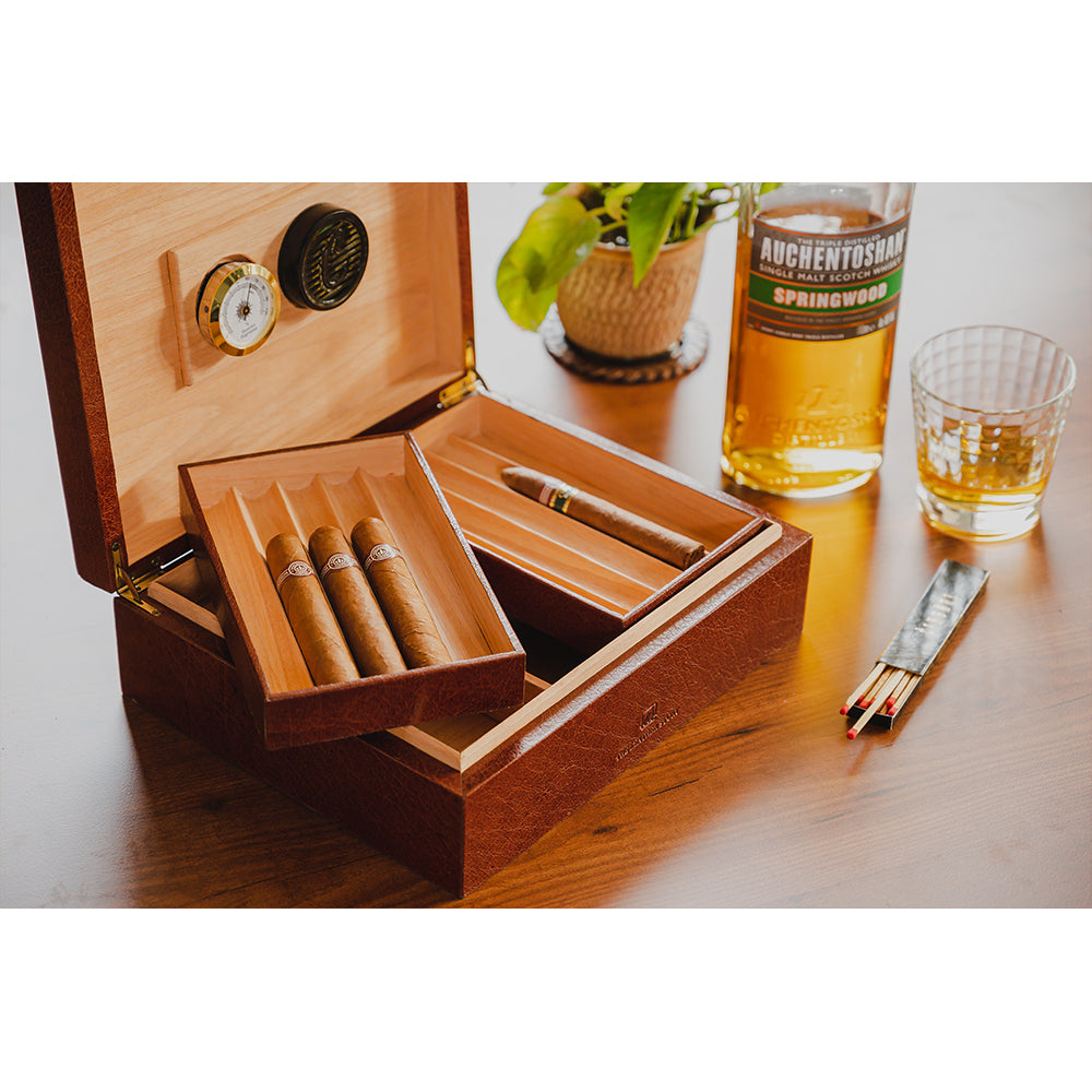 Cigar Humidor - Chest Nut